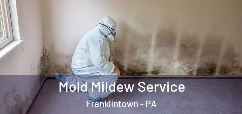 Mold Mildew Service Franklintown - PA