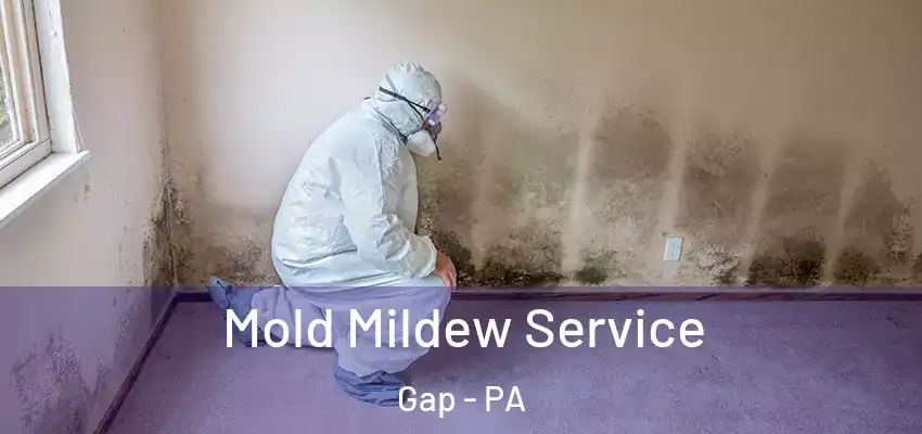  Mold Mildew Service Gap - PA