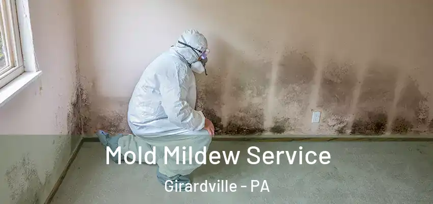 Mold Mildew Service Girardville - PA