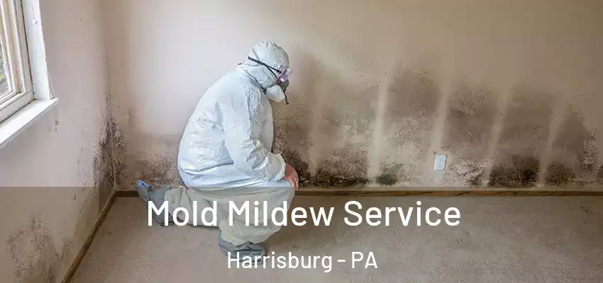  Mold Mildew Service Harrisburg - PA