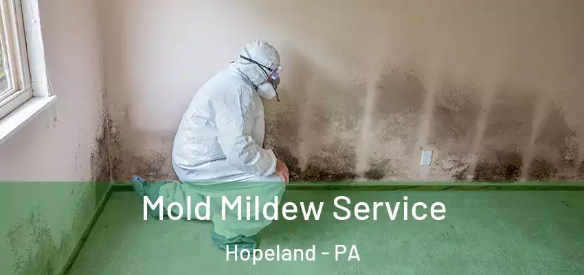  Mold Mildew Service Hopeland - PA