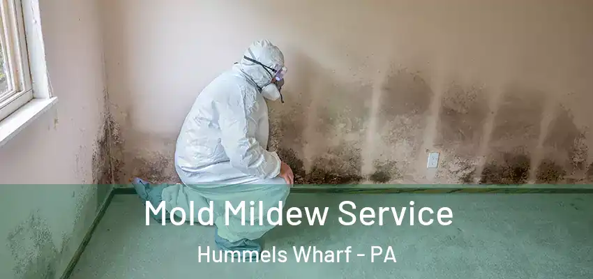 Mold Mildew Service Hummels Wharf - PA