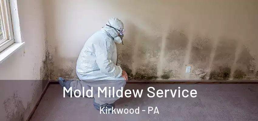  Mold Mildew Service Kirkwood - PA