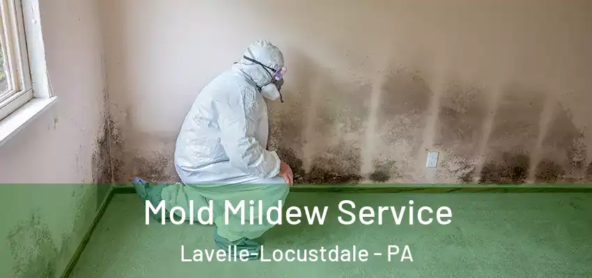 Mold Mildew Service Lavelle-Locustdale - PA