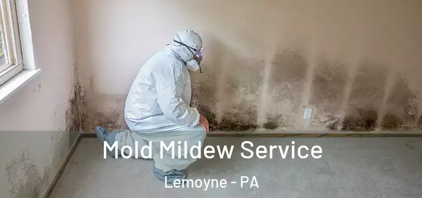 Mold Mildew Service Lemoyne - PA