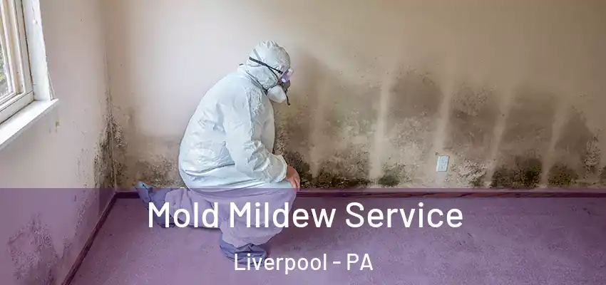  Mold Mildew Service Liverpool - PA
