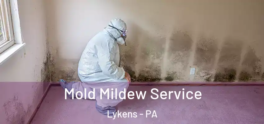 Mold Mildew Service Lykens - PA