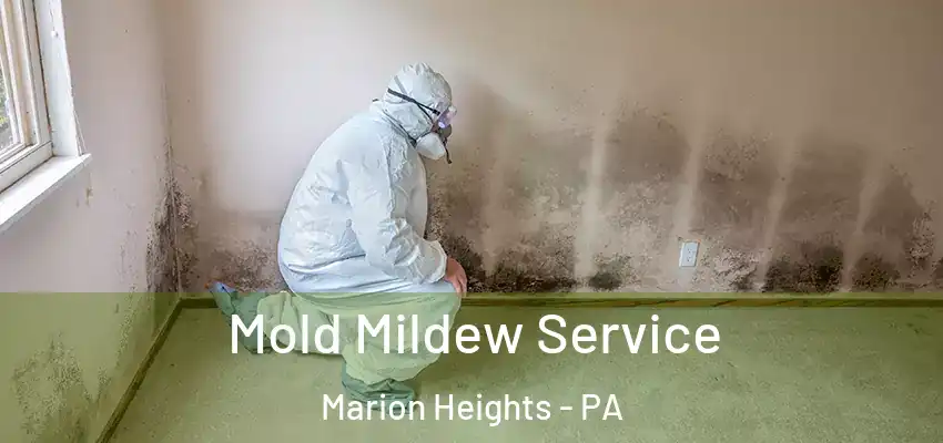 Mold Mildew Service Marion Heights - PA