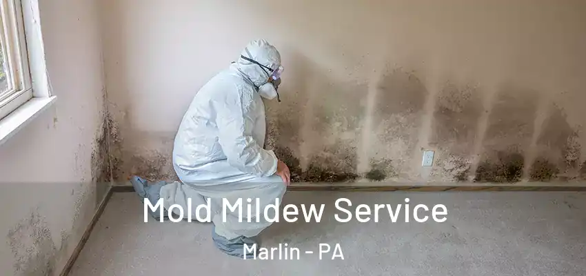 Mold Mildew Service Marlin - PA