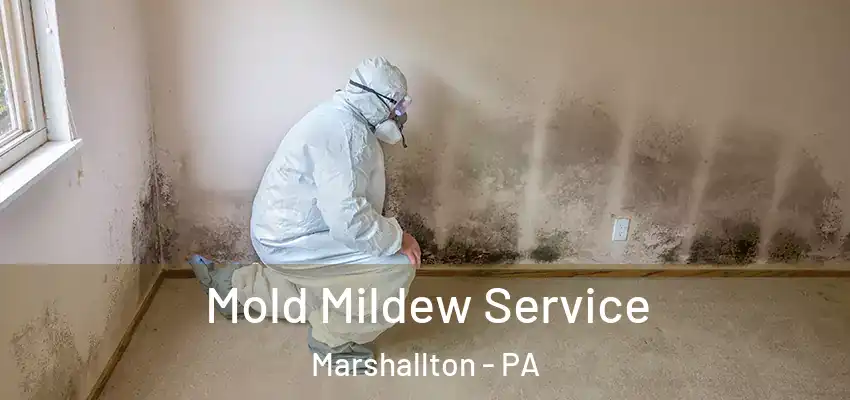  Mold Mildew Service Marshallton - PA