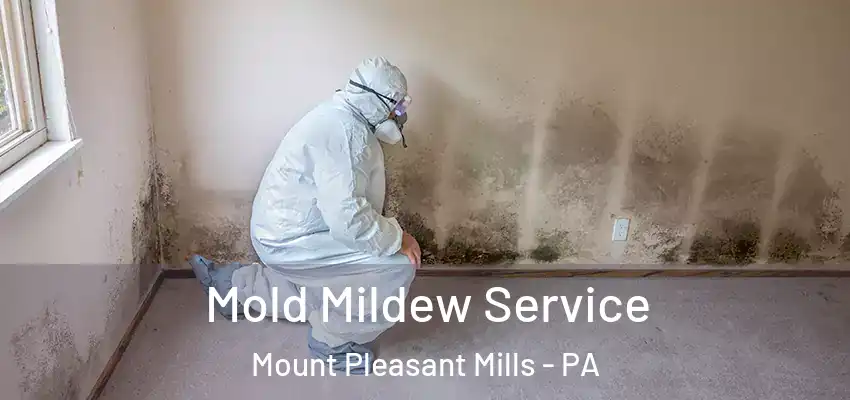 Mold Mildew Service Mount Pleasant Mills - PA
