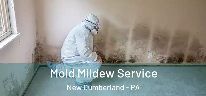 Mold Mildew Service New Cumberland - PA