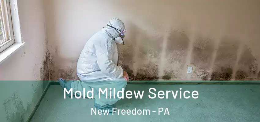 Mold Mildew Service New Freedom - PA