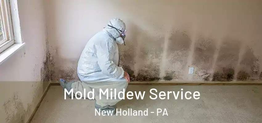  Mold Mildew Service New Holland - PA