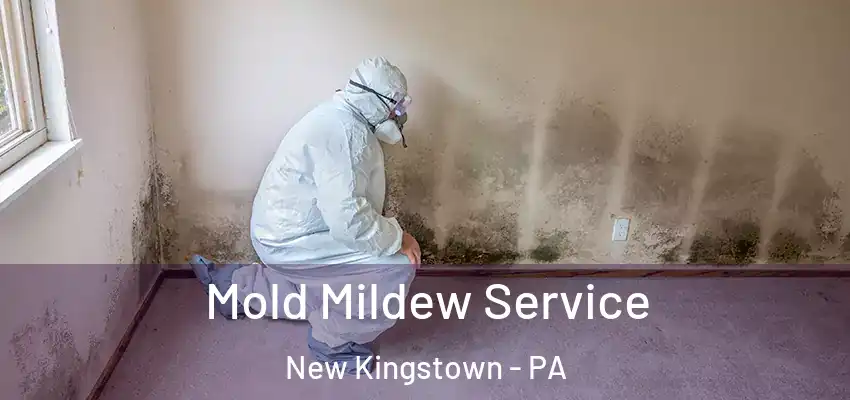 Mold Mildew Service New Kingstown - PA