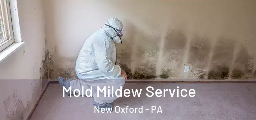 Mold Mildew Service New Oxford - PA