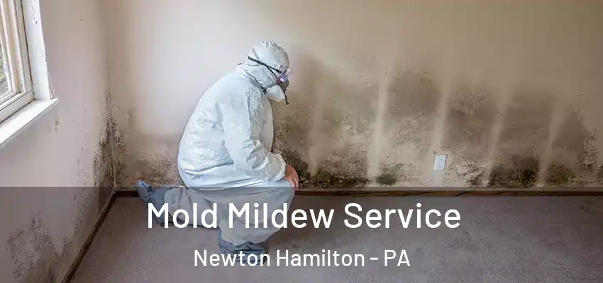  Mold Mildew Service Newton Hamilton - PA