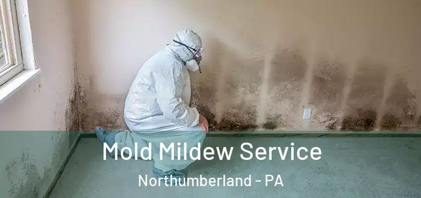  Mold Mildew Service Northumberland - PA