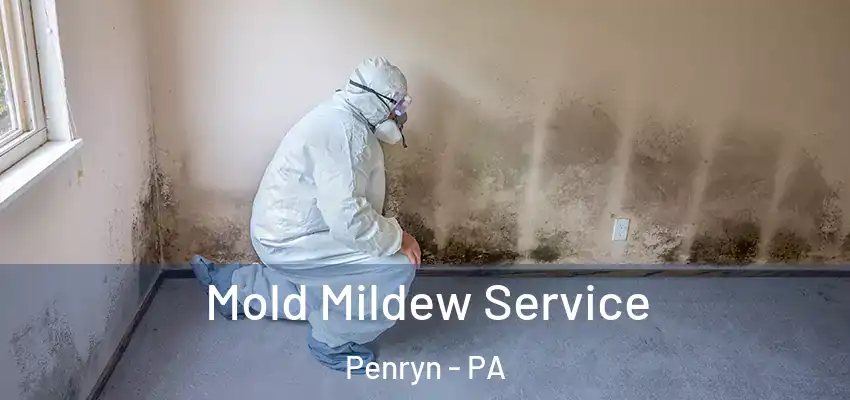  Mold Mildew Service Penryn - PA