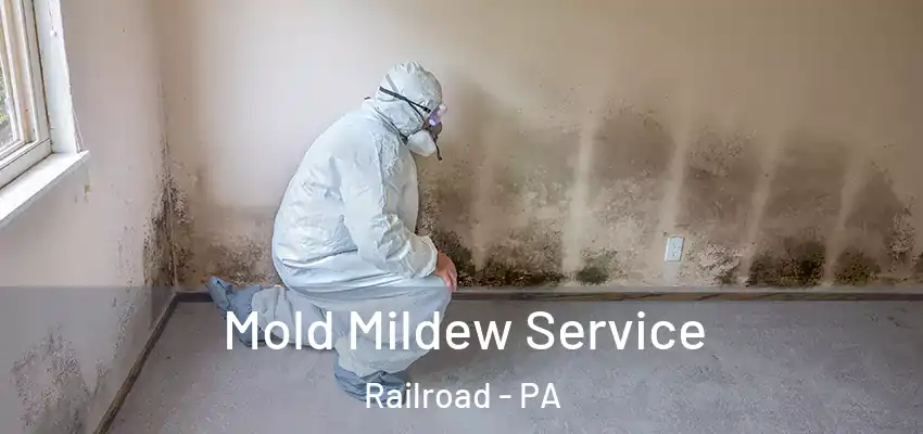  Mold Mildew Service Railroad - PA