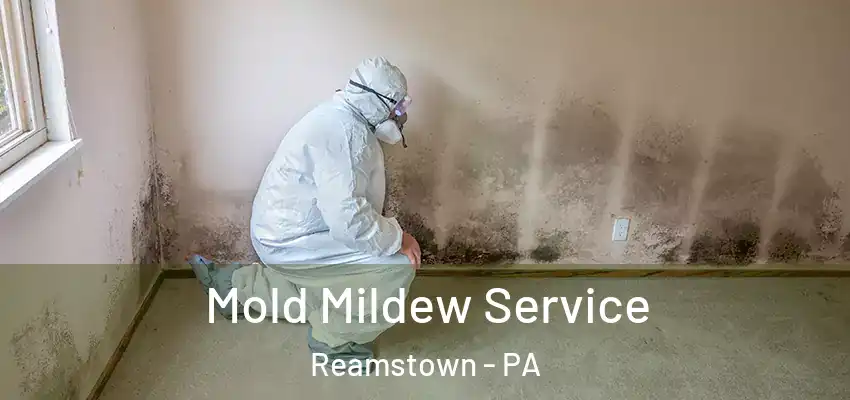 Mold Mildew Service Reamstown - PA