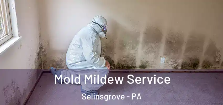  Mold Mildew Service Selinsgrove - PA