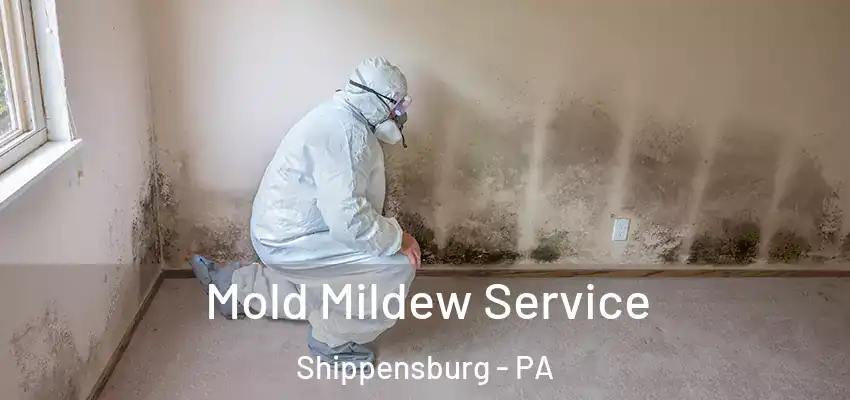 Mold Mildew Service Shippensburg - PA