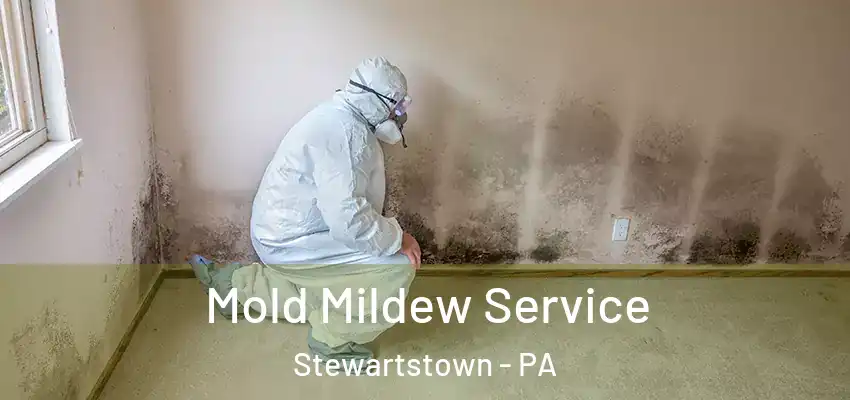  Mold Mildew Service Stewartstown - PA