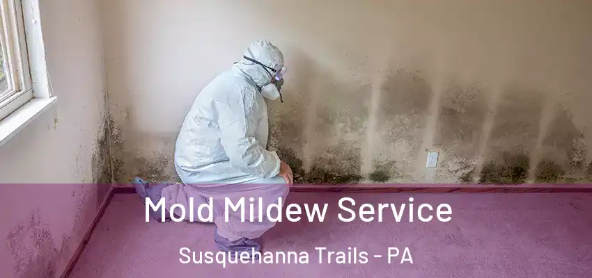 Mold Mildew Service Susquehanna Trails - PA