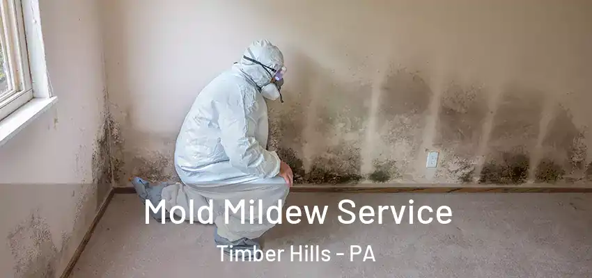  Mold Mildew Service Timber Hills - PA