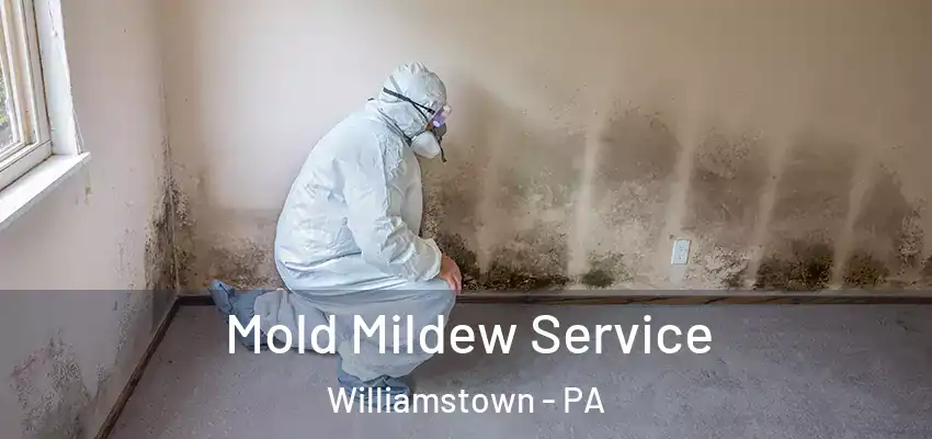 Mold Mildew Service Williamstown - PA