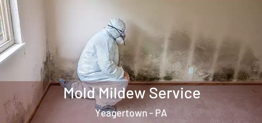  Mold Mildew Service Yeagertown - PA
