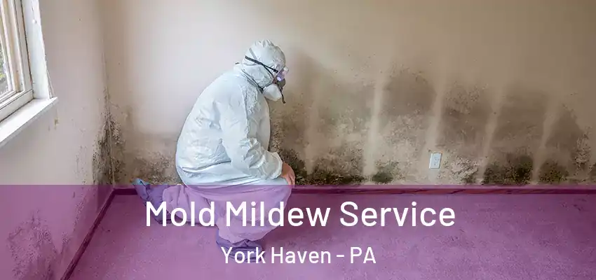  Mold Mildew Service York Haven - PA