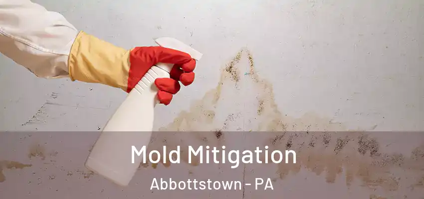  Mold Mitigation Abbottstown - PA