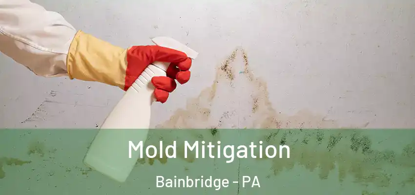  Mold Mitigation Bainbridge - PA