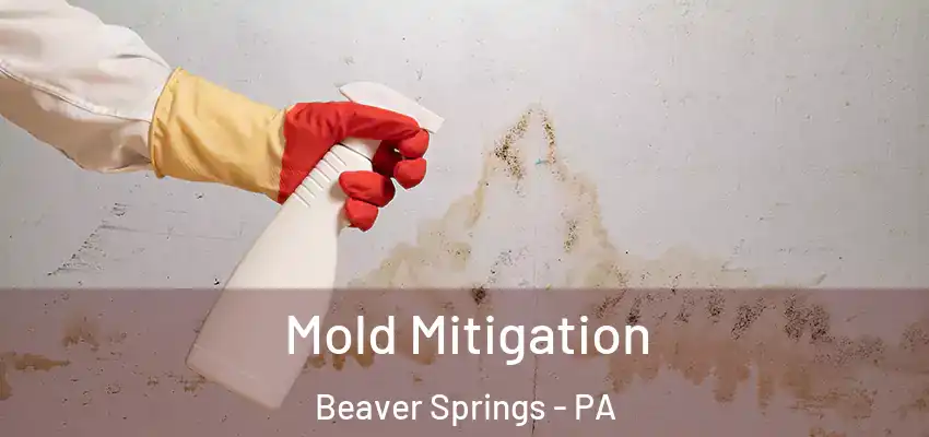 Mold Mitigation Beaver Springs - PA