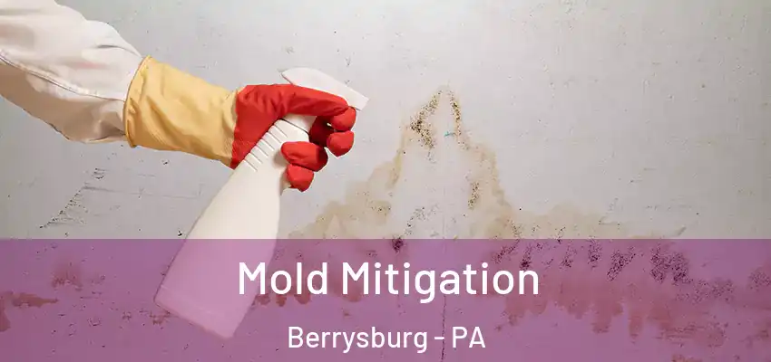  Mold Mitigation Berrysburg - PA