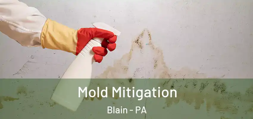  Mold Mitigation Blain - PA