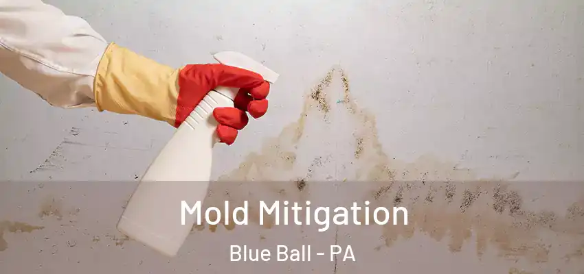  Mold Mitigation Blue Ball - PA