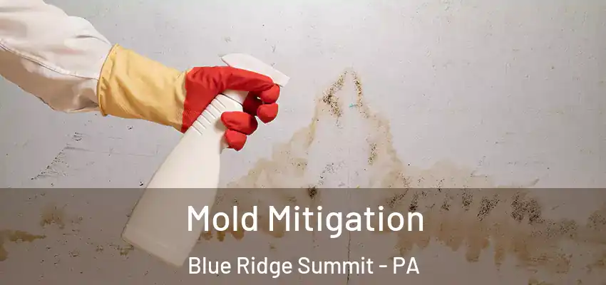 Mold Mitigation Blue Ridge Summit - PA