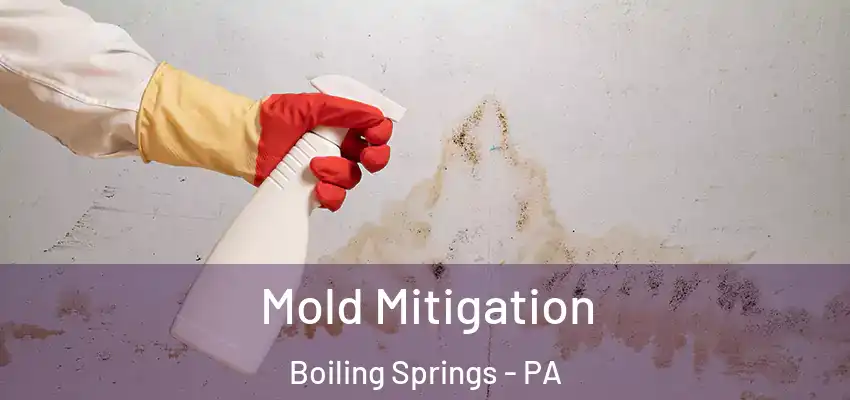 Mold Mitigation Boiling Springs - PA