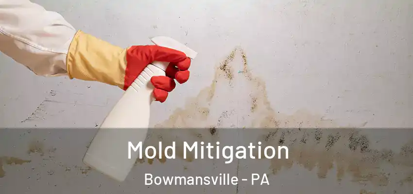  Mold Mitigation Bowmansville - PA