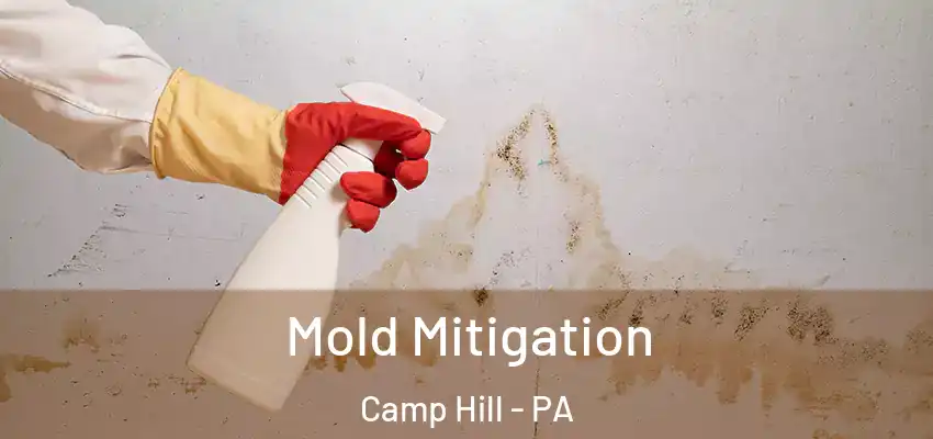  Mold Mitigation Camp Hill - PA