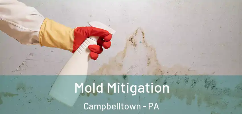  Mold Mitigation Campbelltown - PA