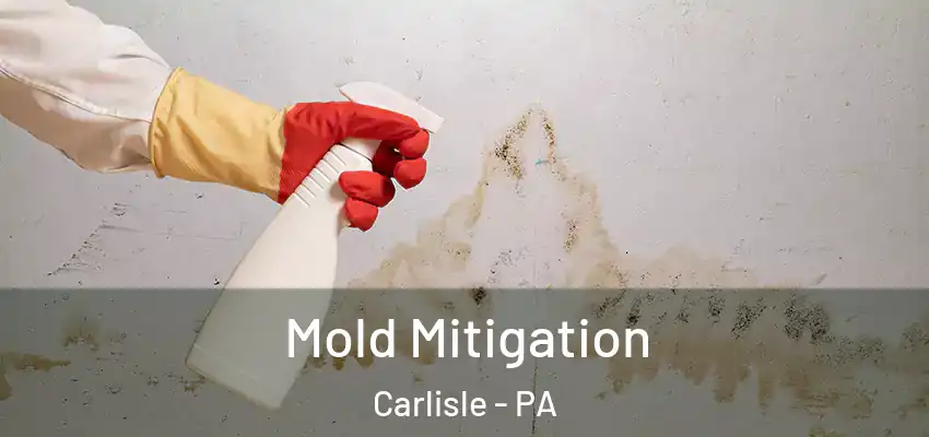  Mold Mitigation Carlisle - PA
