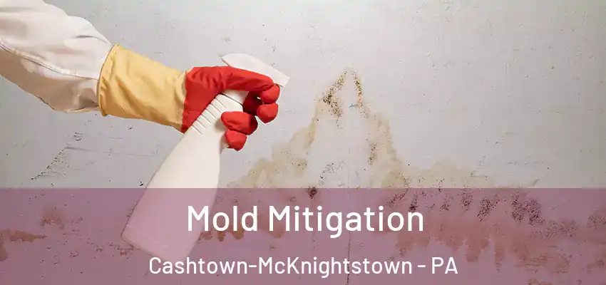 Mold Mitigation Cashtown-McKnightstown - PA