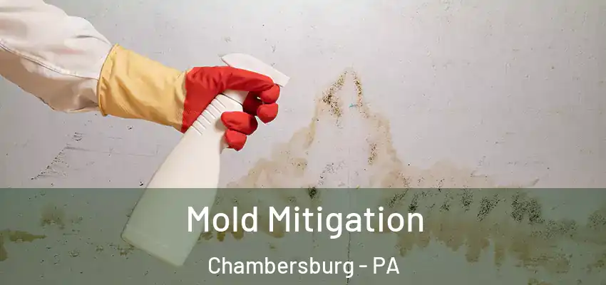  Mold Mitigation Chambersburg - PA