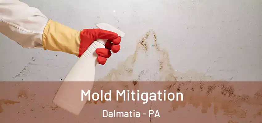 Mold Mitigation Dalmatia - PA