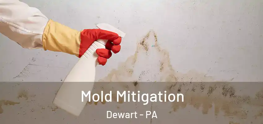 Mold Mitigation Dewart - PA