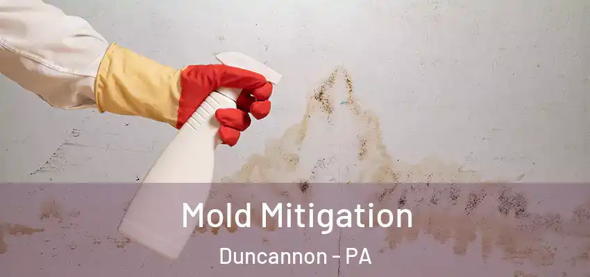 Mold Mitigation Duncannon - PA
